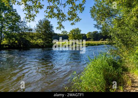 Le pianure alluvionali di Lippe nei pressi di Olfen, riserva naturale lungo il fiume, NRW, Germania Foto Stock