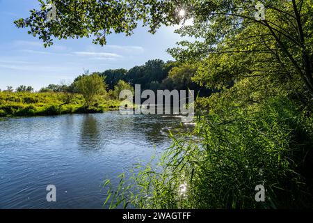 Le pianure alluvionali di Lippe nei pressi di Olfen, riserva naturale lungo il fiume, NRW, Germania Foto Stock