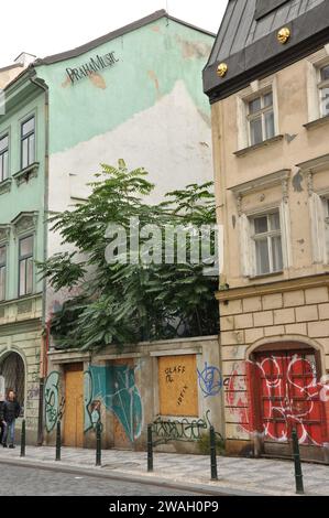 Vista verticale della strada con graffiti sui vecchi edifici di Praga, Repubblica Ceca Foto Stock
