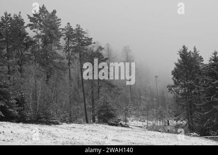 Vista mozzafiato sugli alberi di conifere innevati a Rammelsberg a Goslar, Germania Foto Stock