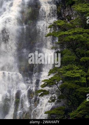 Cascate e alberi nel Dusky Sound Fiordland National Park, nuova Zelanda Foto Stock