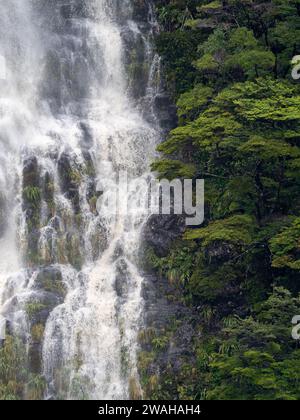 Cascate e alberi nel Dusky Sound Fiordland National Park, nuova Zelanda Foto Stock