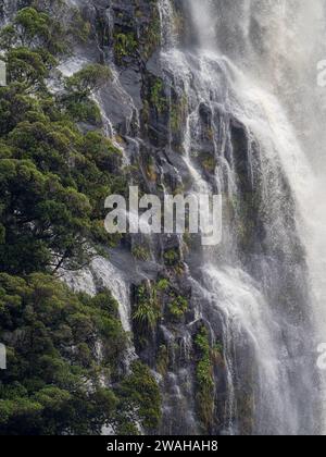 Cascate e alberi nel Dusky Sound Fiordland National Park, nuova Zelanda Foto Stock