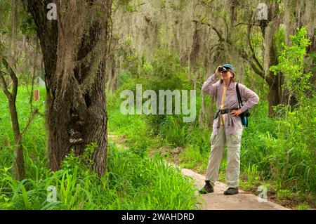 Birdwatching sul codone sentiero dei laghi, Santa Ana National Wildlife Refuge, Texas Foto Stock