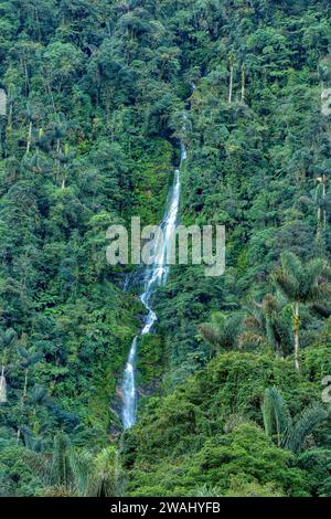 Cascata a Ciudad Perdida, antiche rovine nascoste della civiltà Tayrona nel cuore della giungla colombiana. Città perduta di Teyuna. Santa Marta, SIEr Foto Stock