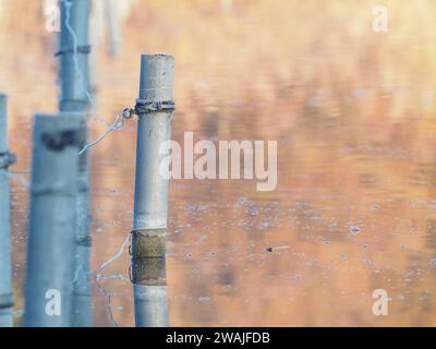 Riflesso del palo metallico sul lago in inverno Foto Stock