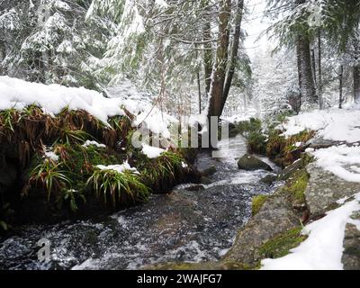 Magnifico torrente con neve nella Foresta Nera, Germania Foto Stock