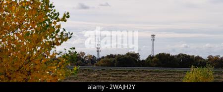 Una vista panoramica di due torri radio in un campo erboso circondato da una lussureggiante vegetazione Foto Stock