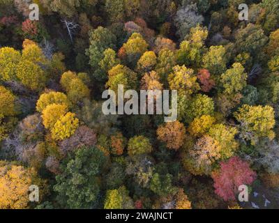 Vista aerea degli alberi autunnali in una foresta del Tennessee Foto Stock