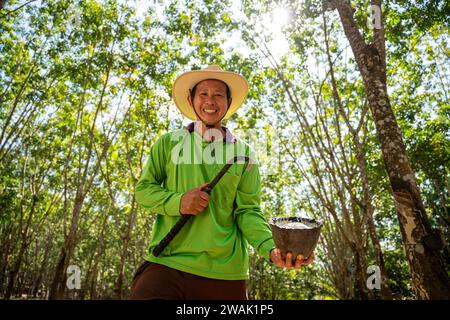 I contadini della gomma asiatica si trovano in una piantagione di alberi di gomma della thailandia con tazze di lattice. Foto Stock