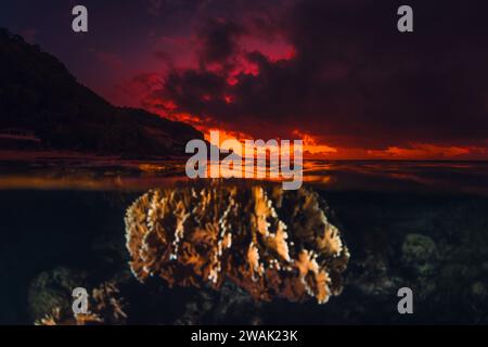 Paesaggio marino con coralli sott'acqua e colori vivaci al tramonto o all'alba, vista divisa con luce artificiale Foto Stock
