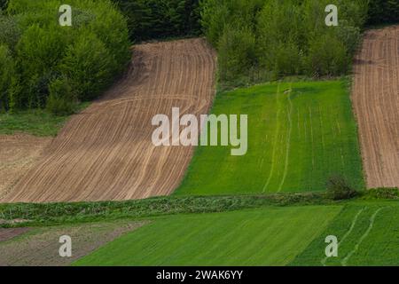 Arato, piantato e Hilling Rows Black-Earth Field. Grana del terreno. Foto Stock