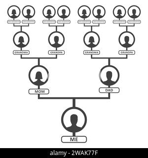 Modello di diagramma genealogico, genealogico o ancestrale. Icone genealogiche della famiglia avatar infografici ritratti in cornici circolari collegate da linee. Illustrazione Vettoriale