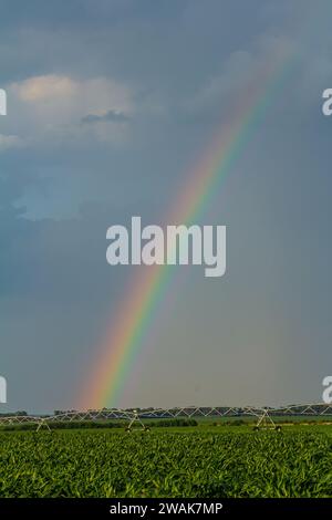 Ampio sistema di irrigazione in un campo verde, con un bellissimo arcobaleno che si forma nello spray su uno sfondo di cieli nuvolosi. Foto Stock