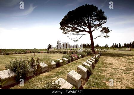 Cimitero dei soldati australiani e neozelandesi con il Lone Pine sulla penisola di Gallipoli in Turchia. fotografia vvbvanbree Foto Stock