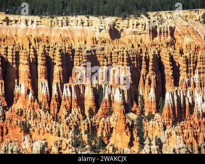 Primo piano delle guglie e degli hoodoo che escono da una scogliera nel Bryce Canyon, Utah Foto Stock