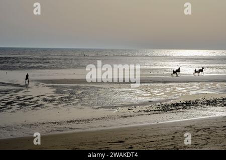 Francia, Manche, Sainte-Mère-Église, Ravenoville Plage Foto Stock