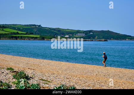 Francia, Normandia, dipartimento della Manica, Cotentin, Omonville-la-Rogue, sentiero costiero, spiaggia di ciottoli Foto Stock