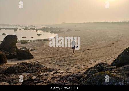 Francia, Normandia, dipartimento della Manica, Cotentin, Vicq-sur-Mer, Vicq Beach Foto Stock