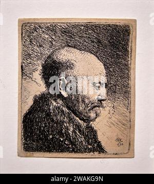 Mostra di incisione di Rembrandt, vecchio calvo in profilo, 1630 Foto Stock