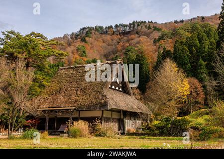 casa tradizionale in legno e fienile con tetto in paglia in stile mani di preghiera gassho nel villaggio storico di shirakawago in giappone Foto Stock