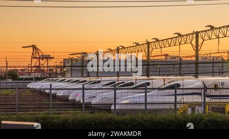 una fila di treni proiettili shinkansen bianchi lucidi allineati su un fianco sotto un cavalletto sospeso come se sotto i principianti ordinassero pronti per il decollo all'alba Foto Stock