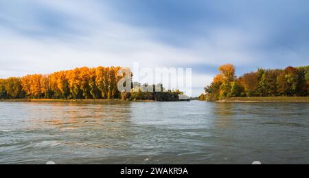 Riva del fiume con alberi dai colori autunnali, cielo blu Foto Stock