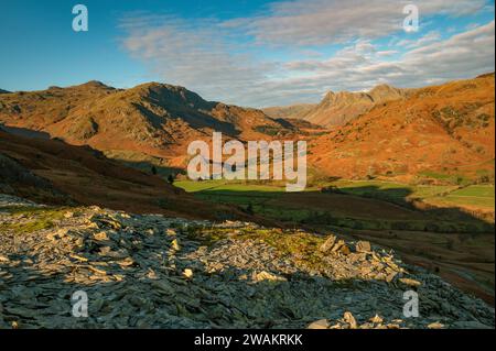 I Langdale Pikes visti da Low caddero a Little langdale. Cumbria Foto Stock