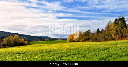 Panorama di un magnifico paesaggio autunnale nella foresta della Franconia vicino a Naila, Baviera, Germania Foto Stock