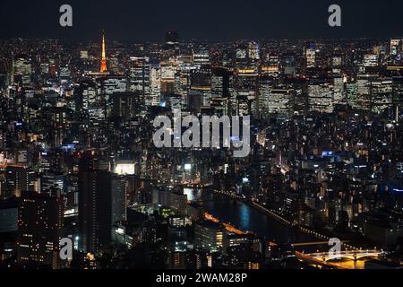 Vista aerea sulla Tokyo Metropolis con i suoi alti edifici, grattacieli, il fiume Sumida e la Tokyo Tower illuminata di notte, Giappone Foto Stock