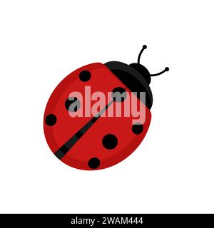 Grazioso insetto rosso coccinella in stile piatto su sfondo bianco isolato. Illustrazione vettoriale. Illustrazione Vettoriale