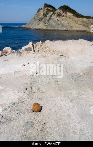 Melograno sul terreno sabbioso asciutto. Vista sulle acque del mar Ionio (Mediterraneo) e su un arcipelago dell'isola. Cielo blu brillante, soleggiata giornata autunnale Foto Stock