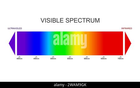Spettro, diagramma della luce visibile. Porzione dello spettro elettromagnetico visibile all'occhio umano. Spettro elettromagnetico a colori, onda luminosa Illustrazione Vettoriale