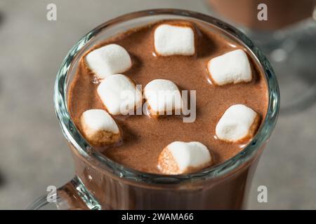 Cioccolata calda al cacao caldo in tazza con marshmallow Foto Stock