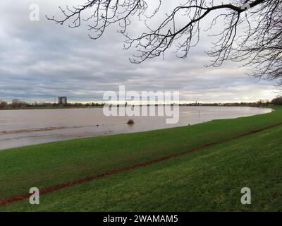 Blick ueber die Rheinwiesen auf den Rheinstrom mit Hochwasser Neuss Rheinhochwasser Großer Rheinbogen *** Vista sui prati del Reno fino al fiume Reno con alluvione Neuss Reno grande ansa del Reno Foto Stock