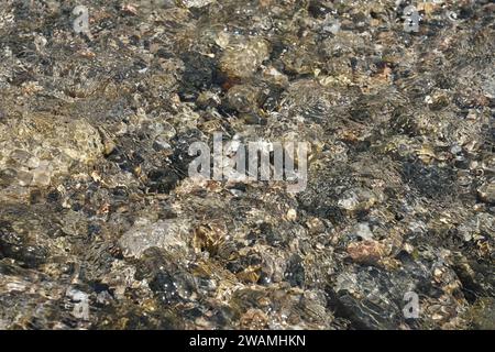 Fiume di montagna acqua pura e limpida Foto Stock