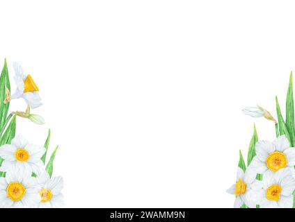 Narciso, illustrazione ad acquerello di narcisi. Cornice ad acquerello disegnata a mano di un profumato giardino di primavera. Pittura botanica bianca e gialla Foto Stock