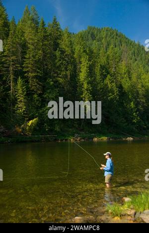 Pesca a mosca, Lochsa selvatica e Scenic River, passaggio a Nord Ovest Scenic Byway, Clearwater National Forest, Idaho Foto Stock