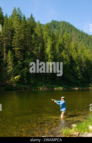 Pesca a mosca, Lochsa selvatica e Scenic River, passaggio a Nord Ovest Scenic Byway, Clearwater National Forest, Idaho Foto Stock