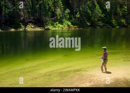 Pesca a mosca, Selway selvatica e Scenic River, Nez Perce National Forest, Idaho Foto Stock