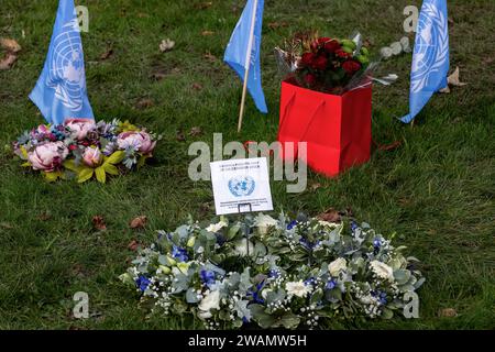 Londra, Regno Unito. 11 dicembre 2023. I tributi floreali al personale delle Nazioni Unite ucciso a Gaza dal 7 ottobre sono raffigurati insieme alle bandiere ONU sul verde delle Nazioni Unite. La giornata dei diritti umani del 10 dicembre 2023 ha segnato il 75° anniversario della dichiarazione universale dei diritti dell'uomo (UDHR). Crediti: Mark Kerrison/Alamy Live News Foto Stock