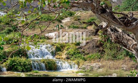 Wadi Darbat, salalah, mini cascate a Wadi Darbat nella regione del Dhofar dell'Oman Foto Stock