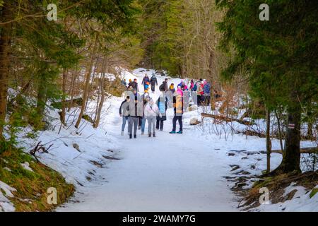Monti Tatra, Polonia - 30 dicembre 2023: Sentiero turistico della valle dello Strazyska con turisti nei monti Tatra in inverno Foto Stock