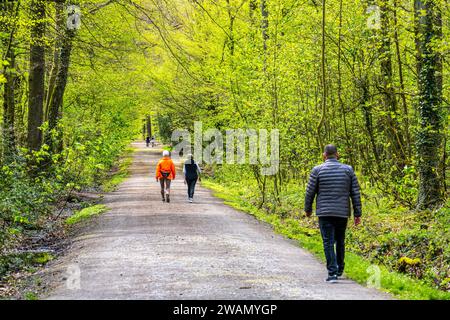 La foresta di Sterkrader a Oberhausen, allo svincolo autostradale di Oberhausen, dove si incontrano le A2/A3A/A516, è destinata ad essere ampliata, con 11 ettari di foresta, aro Foto Stock