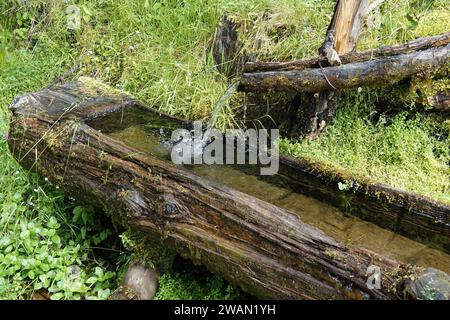 Tipico abbeveratoio in legno riempito di acqua fresca di sorgente nelle Alpi austriache Foto Stock