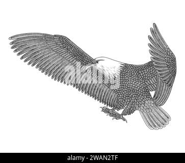 Aquila calva che vola in cielo, illustrazione in stile disegno con incisione Vintage Illustrazione Vettoriale