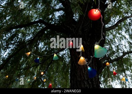 Luci colorate a forma di cono sotto il baldacchino di un salice piangente in una sera d'estate. Foto Stock