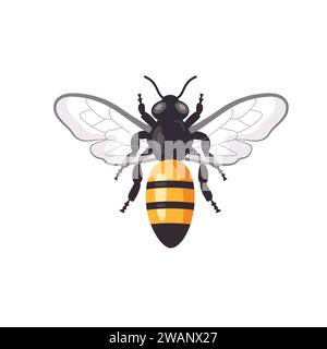 illustrazione vettoriale delle api da miele dei cartoni animati isolata su sfondo bianco Illustrazione Vettoriale