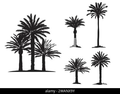 set vettoriale silhouette alberi tropicali palme da dattero Illustrazione Vettoriale
