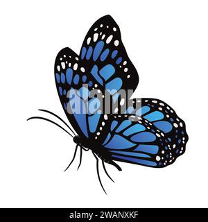 Illustrazione vettoriale di farfalle colorate e isolata Illustrazione Vettoriale